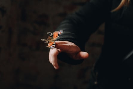 A butterfly with burned wings in Diana Savenok’s apartment building