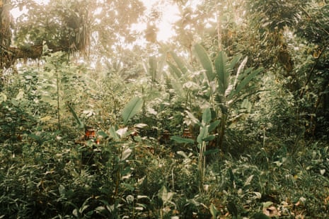 ELN members in thick vegetation