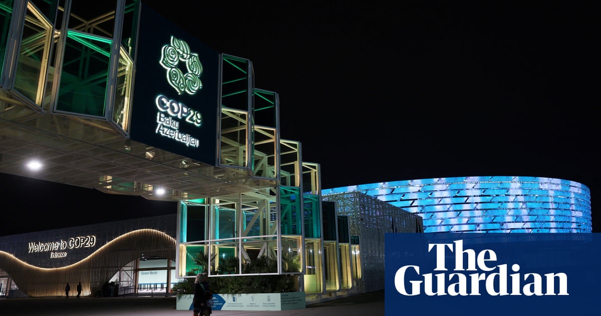 Diplomats Approve Carbon Credit Trade Rules at COP29