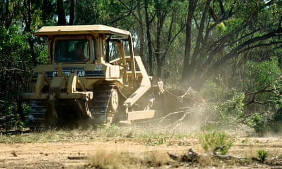 Land clearing of native vegetation in Queensland.