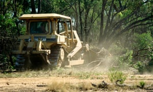Land clearing in Queensland. Scientists say more than 90% of the threatened species habitat lost since the turn of the century has occurred in 12 electorates