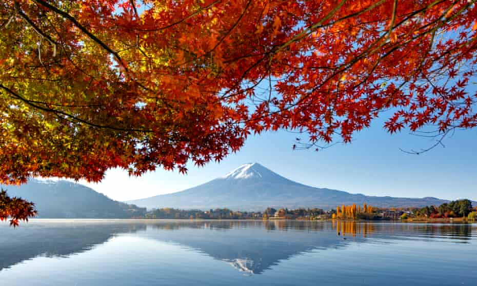 Mount Fuji and maple trees view, Lake Kawaguchiko, Japan.
