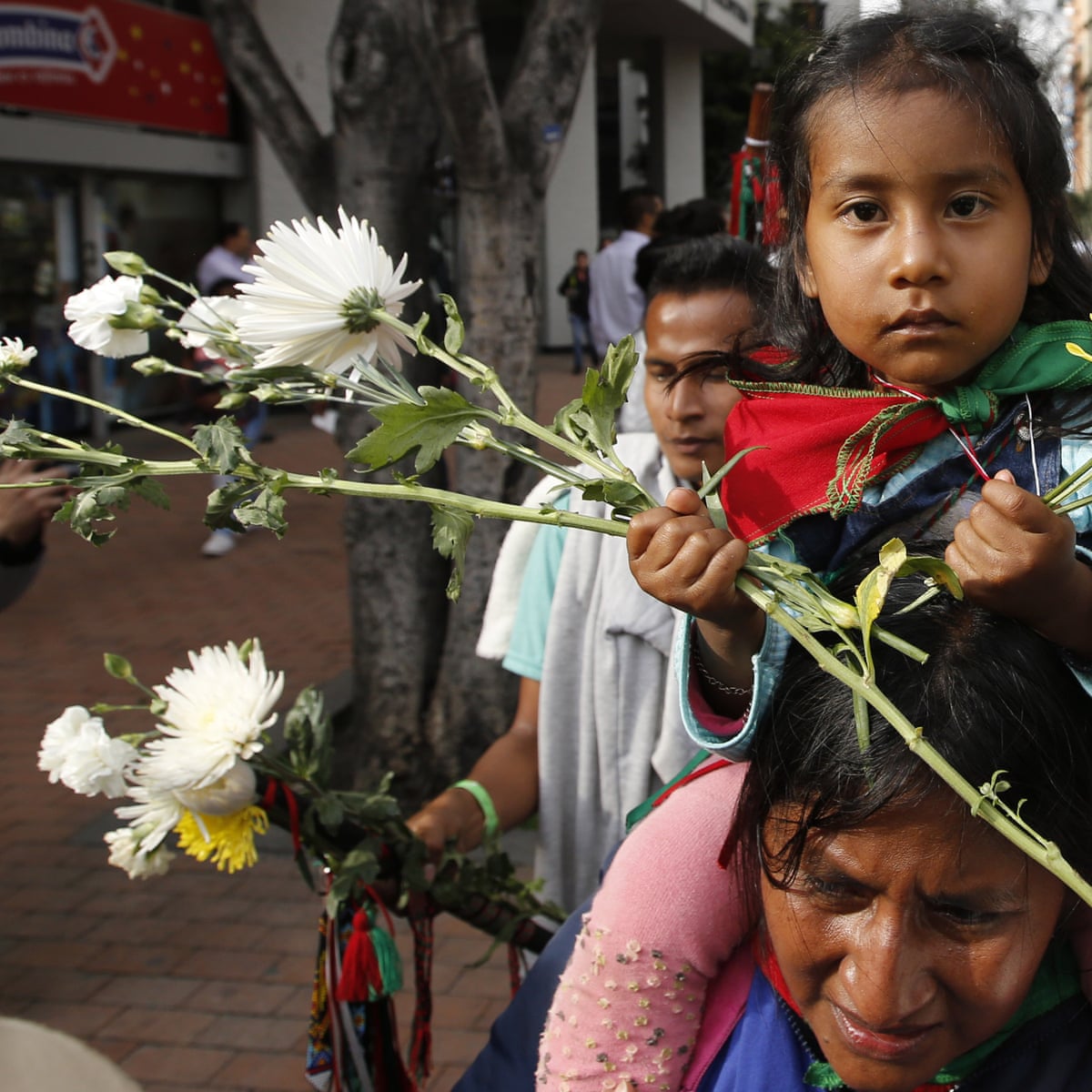 What Does Peace In Colombia Have To Do With The Environment Camila Bustos And Marcela Jaramillo The Guardian
