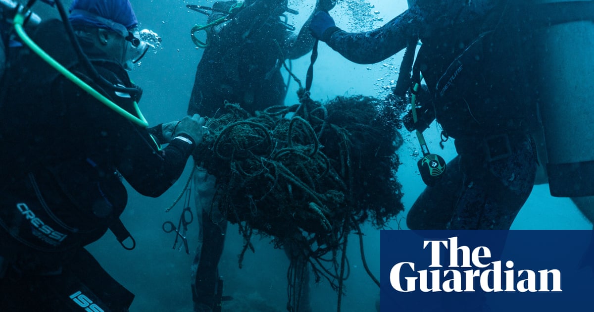 One wrong move could be fatal: the divers risking their lives to save whales from ghost nets'