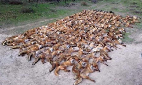 Vinnie Jones said the picture was taken from an Australian page related to a state-sponsored cull of foxes.