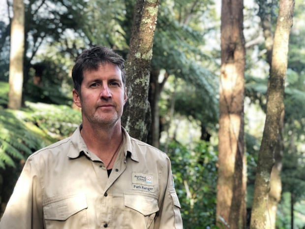 Stuart Leighton standing among trees and ferns