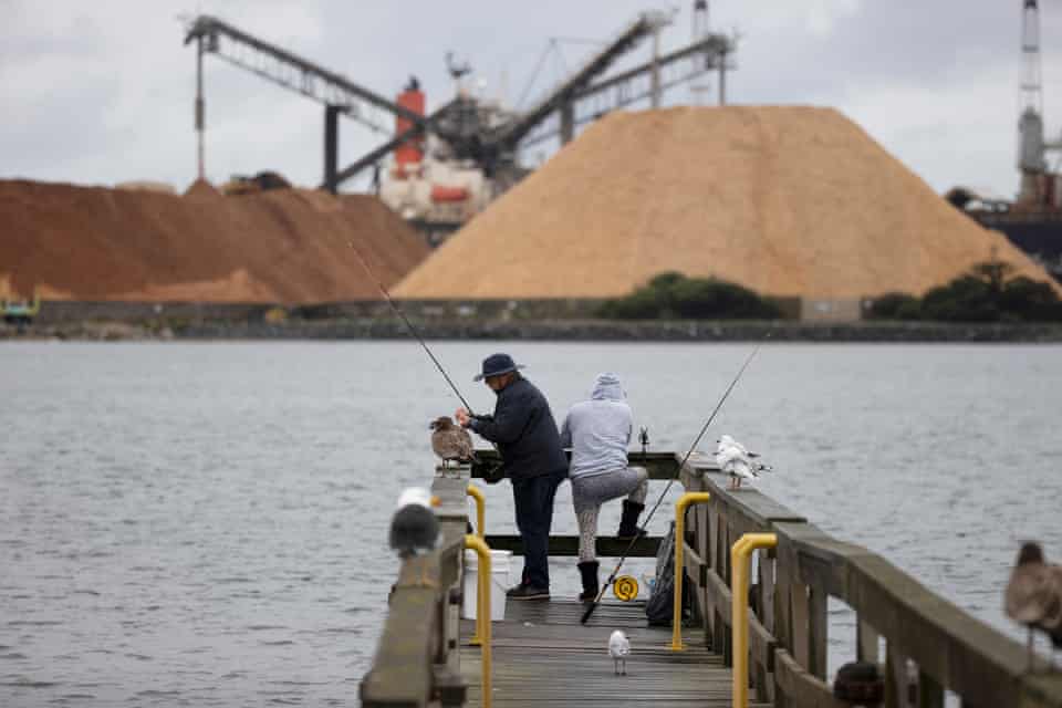 Fishers on Burnie jetty, in the Tasmanian seat of Braddon, are dwarfed by mountains of woodchip ready for loading.