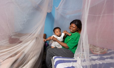 New types of mosquito bed nets could cut malaria risk by up to half, trial finds