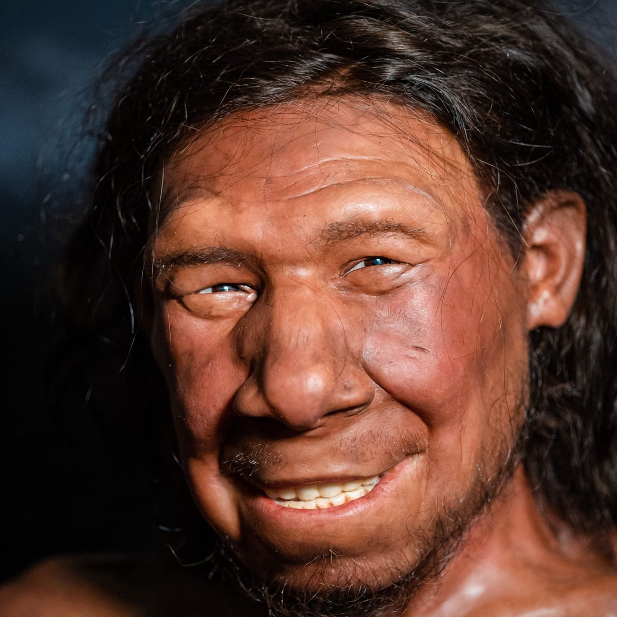Homo Sapiens Reconstruction