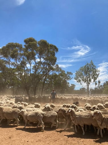 Tim McClelland on his mixed farm in north-western Victoria