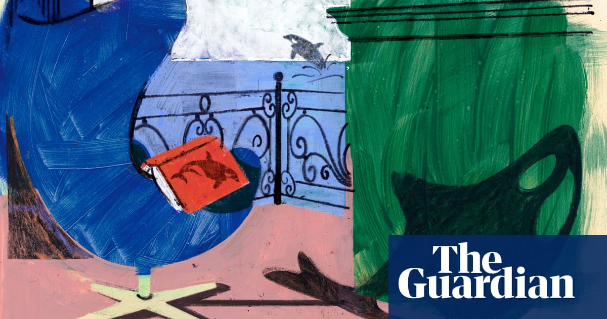 Finding time for pleasure': what orcas taught me about sex in midlife