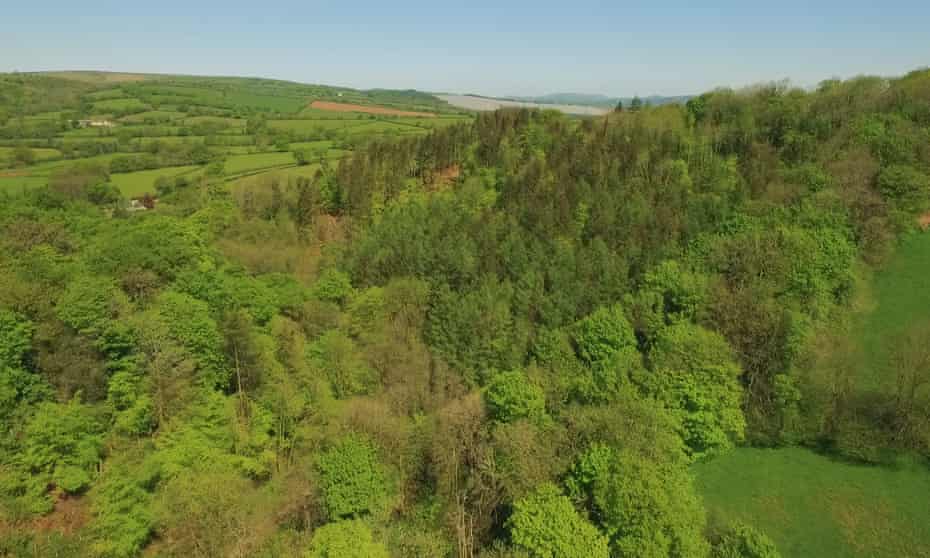 Aerial view over Hillyfield looking towards Dartmoor