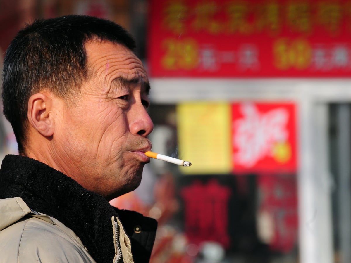 why should you not smoke cigarettes How to Quit Smoking Guide why should you not smoke cigarettes How to Quit Smoking Guide