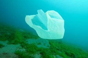 There are now more pieces of plastic in the world’s oceans than there are fish.