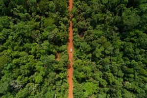 A car cross the road in rainforest area in Mato Grosso