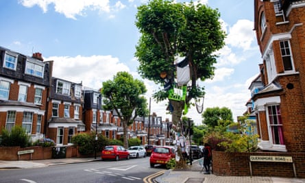 The tree during its ‘occupation’ by campaigners in 2022.
