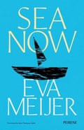 Sea Now by Eva Meijer, translated by Anne Thompson Melo