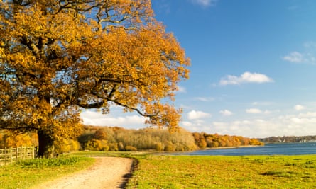 Beautiful autumn fall colours surrounding Rutland Water