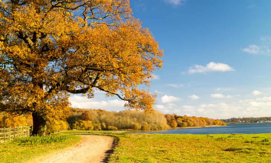 20 of the best autumn gardens in the uk