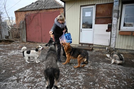 A woman feeds stray dogs in the village of Slatyne, Kharkiv region.