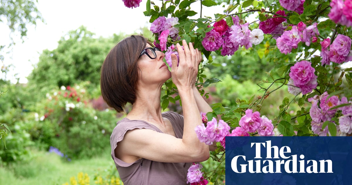 Absolutely sensational! My week savouring life’s little pleasures – from drilling holes to licking trees