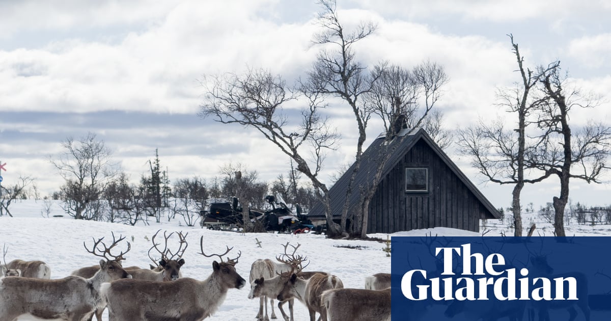 Where the real Rudolph lives: reindeer herding with the Sami people in Sweden’s wild west