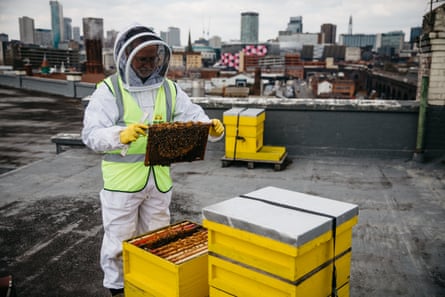Tim Vivian inspects the beehives he keeps on top of the Custard Factory roof in Birmingham, where his office is based