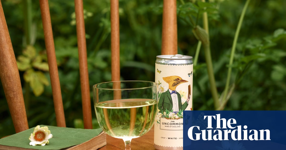 Tins ain’t what they used to be: canned wine is no longer the preserve of Gen Z