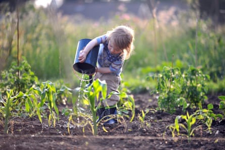 Small boy watering plants