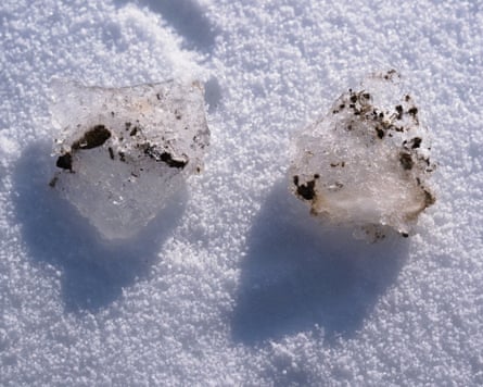 Microbe-rich ‘cryoconite granules’, also called ‘rainforests of the ice’ embedded in glacier ice