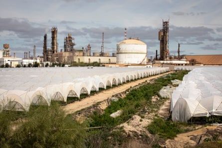 Filas de politúneles con una refinería o una planta química al fondo