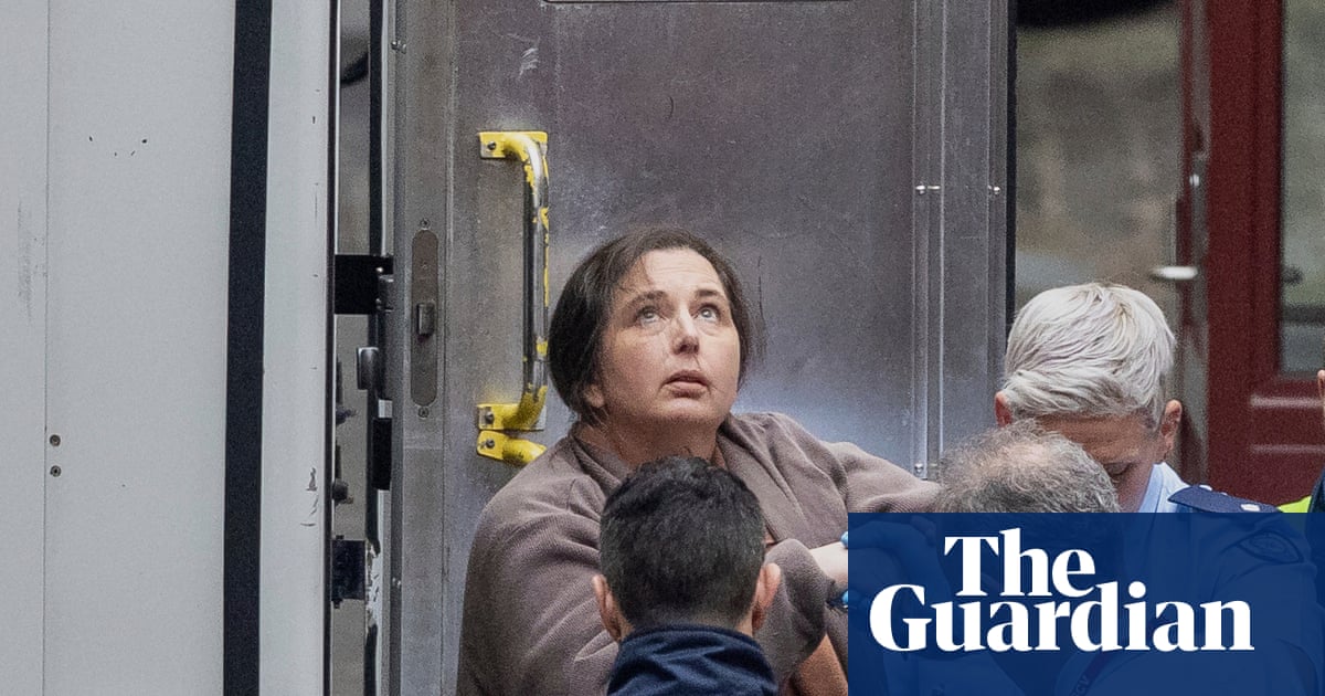 Erin Patterson argues mushroom murder convictions should be quashed due to ‘catastrophic’ failure of justice