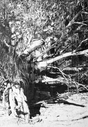 Methexical Countryscape Paakantyi # 2 (2013) por Brian Martin