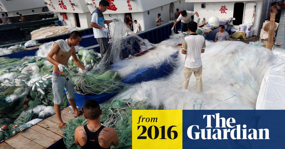 Greenpeace sounds alarm over China's long-distance fishing fleet