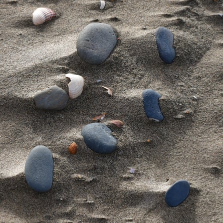 Les galets sont laissés perchés sur d’étroites bandes de substrat sur la plage.