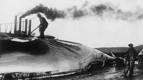 A man dressed in oilskins stands on top of whale. In the background smoke pours from tall chimneys