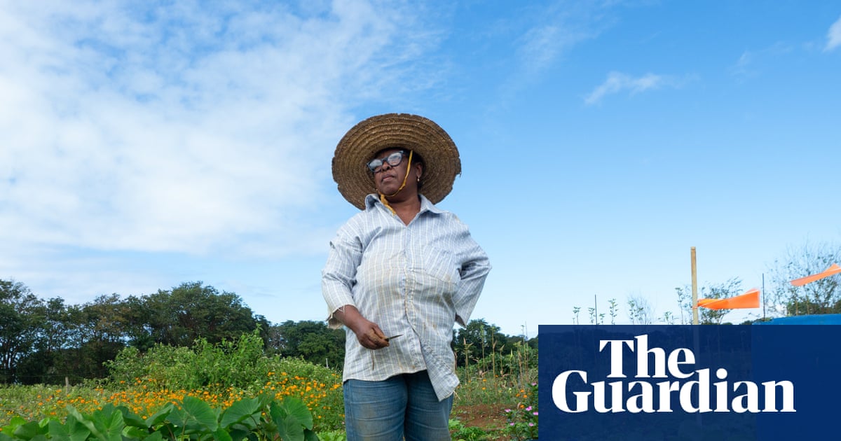 Bringing home the bok choi: how an oil spill in Mauritius led to a female revolution in farming