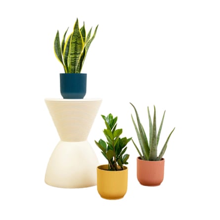 Aloe Barbadensis Miller; Sansevieria Laurentii; Zamioculcas Zamiifolia.