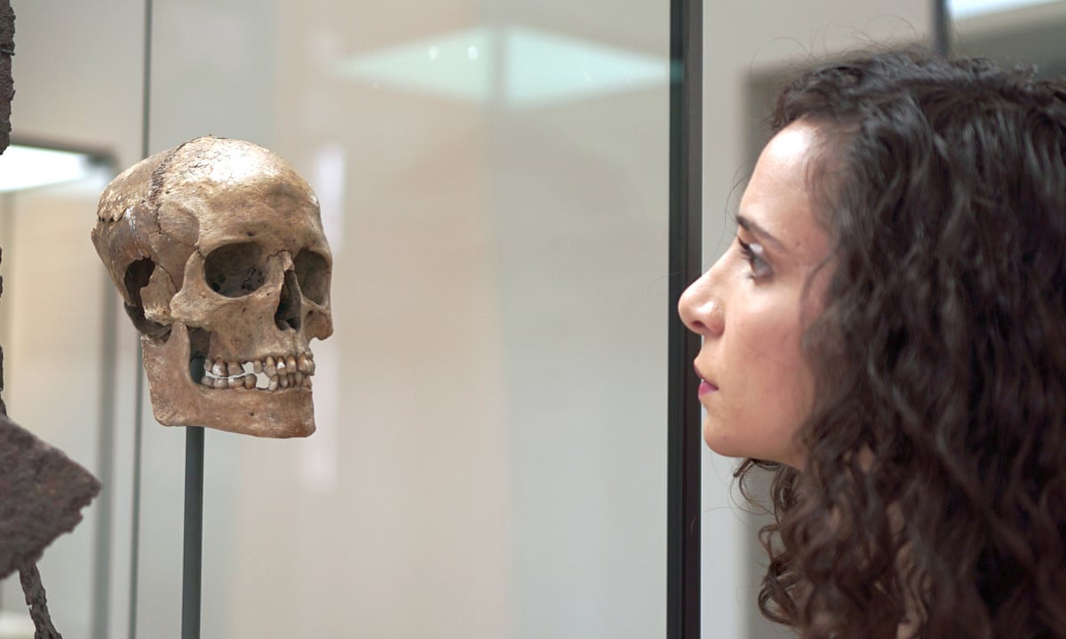 Meet Erika The Red Viking Women Were Warriors Too Say Scientists Uk News The Guardian Meet Erika The Red Viking Women Were Warriors Too Say Scientists Uk News The Guardian