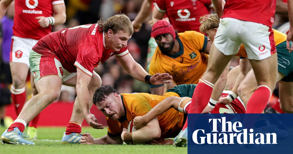 Joe Schmidt finds beauty in the basics to turbocharge Australia's dazzling revival | Daniel Gallan