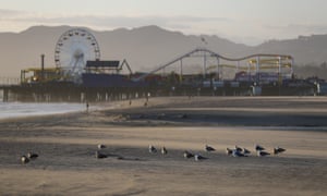 Gulls gather on the closed Santa Monica beach amid the coronavirus pandemic on 27 March, 2020 in Manhattan Beach, California.