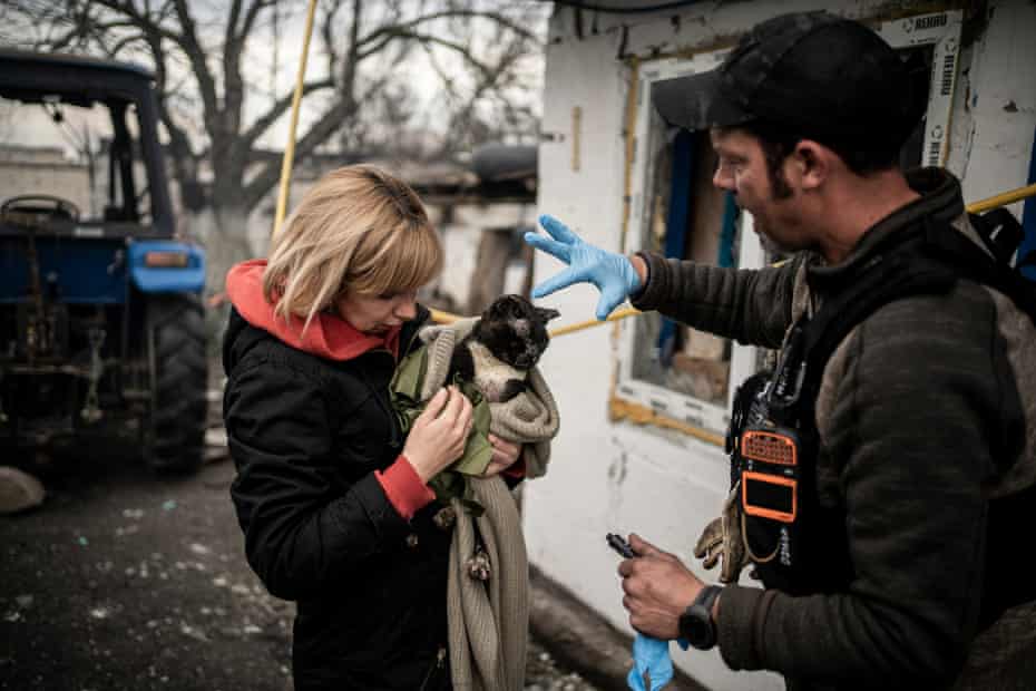 Ken Dillo, a former paramedic from the US Marines, provides first aid to Zenia, a three-year-old cat suffering severe burns who has just been reunited with her owner, Nataliya, after more than a month surviving on its own during the Russian invasion of the village.