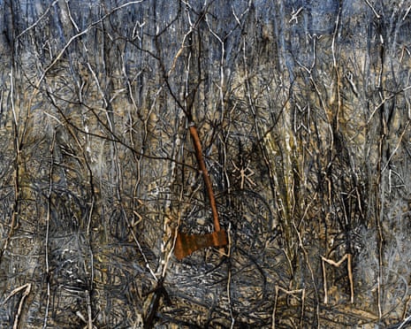 The boundless tangle of nature, with a real axe … from Kiefer’s series Der Gordische Knoten.