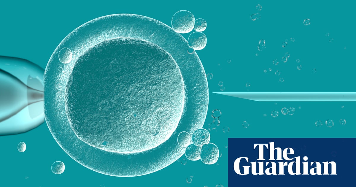 Perth woman wins right to take dead partner's sperm to ACT | Australia