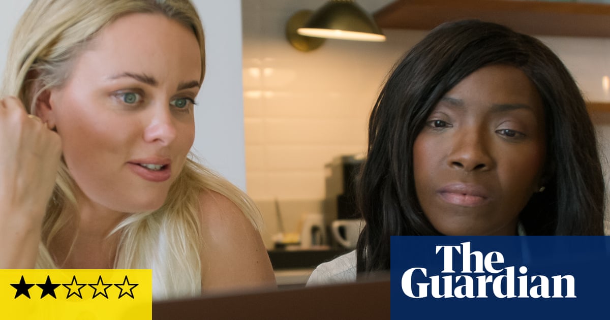 Love Con Revenge review the followup to The Tinder Swindler is deeply anticlimactic