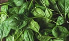Recall extended to spinach contamination caused by leafy green 'weed' at Victorian farmhouse