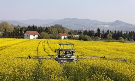Agricultural chemical treatment on rape field near houses, France.