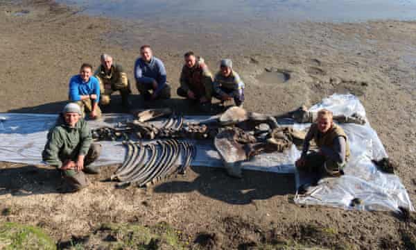 Remains of 10,000-year-old woolly mammoth pulled from Siberian lake | Fossils | The Guardian