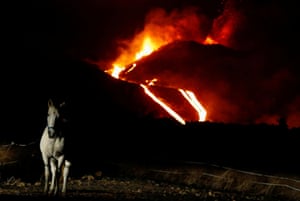 A horse in a field in Tacande while the Cumbre Vieja volcano continues to erupt, on the Canary Island of La Palma, Spain.