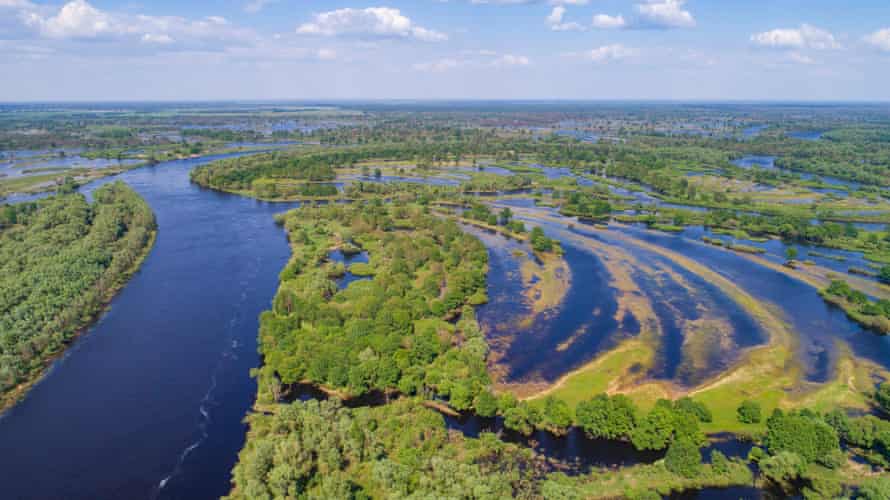 The Pripyat river and its surrounding floodplain meadows, wetlands and oxbow lakes in Polesie, Belarus.